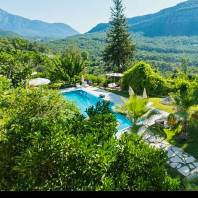 yayla-havuz_64555_n.